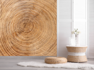 Фотошпалери Дерево в розрізі - 2