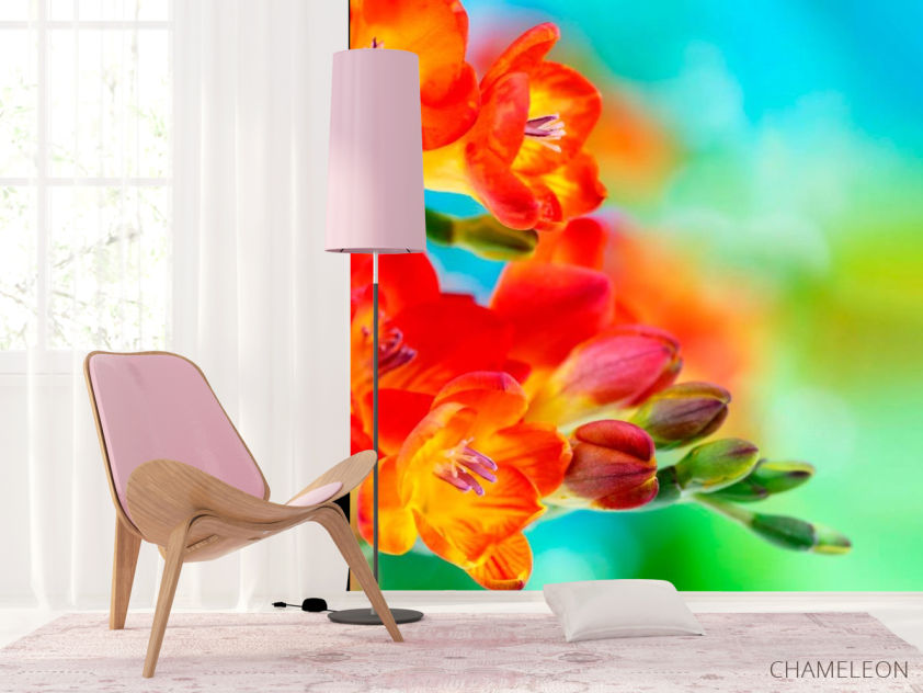 Фотообои Фрезия махровая оранжевая - 4