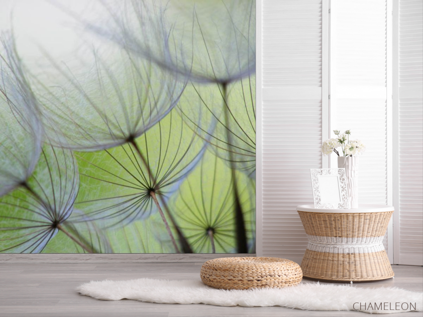 Фотошпалери кульбаби - 2