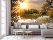 Фотообои лебедь на озере - 3