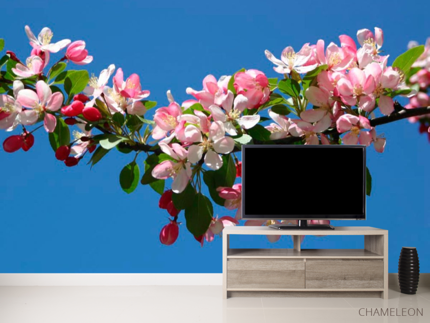 Фотообои Черешня цветущая - 2