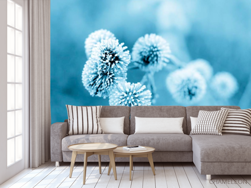 Фотообои Цветы в инее - 3