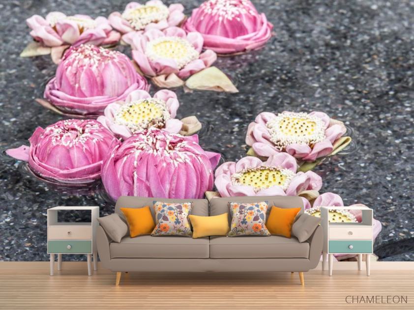 Фотообои Пионы на воде - 1