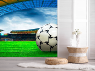 Фотошпалери Арена перед грою - 2