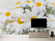 Фотообои Белые ромашки - 2