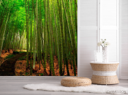 Фотошпалери Бамбук, стежка - 2