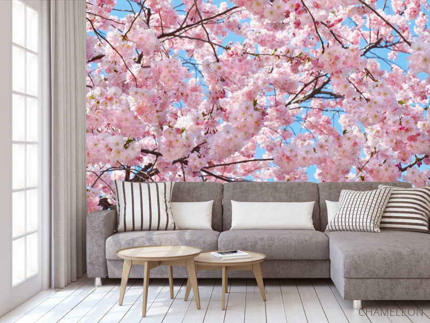 Фотообои цветущее дерево - 3