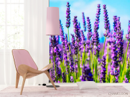 Фотошпалери Квіти - 4