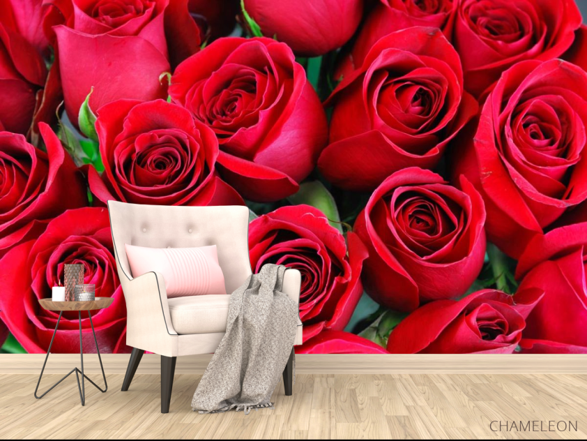 Фотообои красные розы - 4