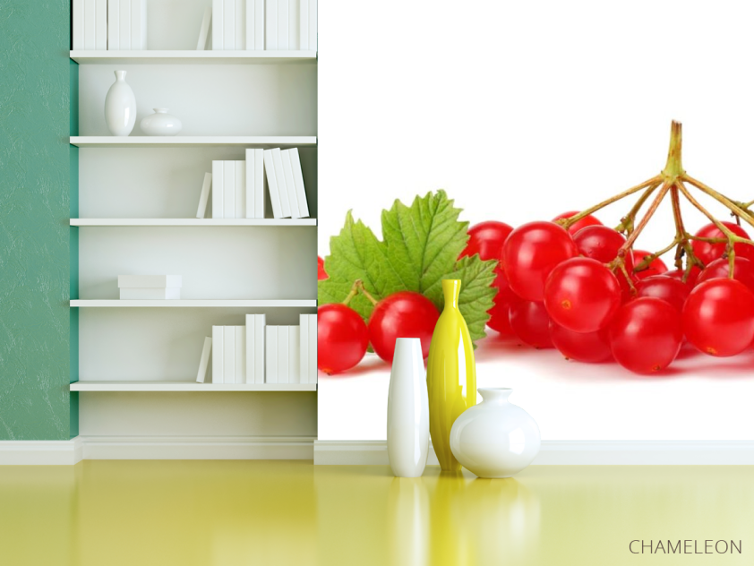 Фотошпалери калина - 3