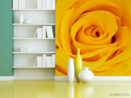 Фотошпалери жовта троянда - 3