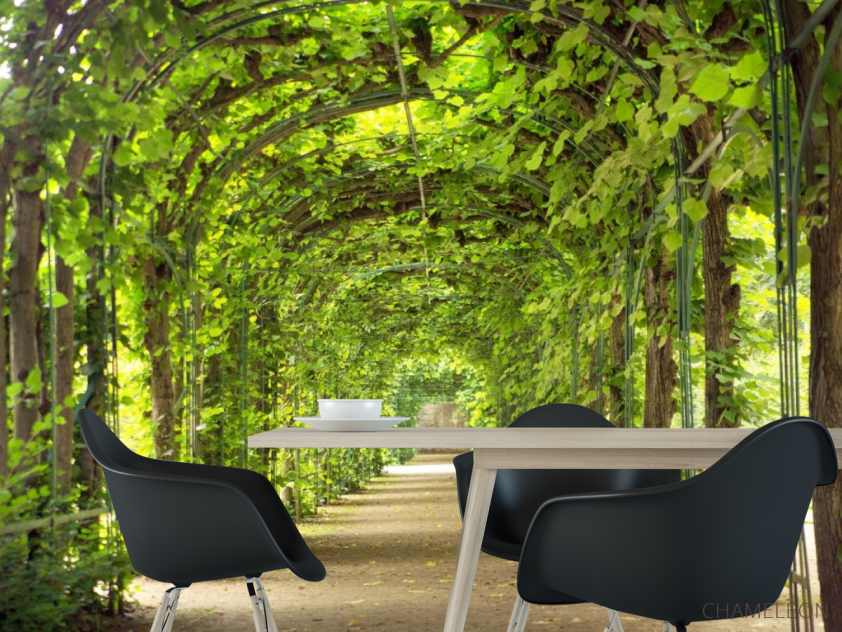 Фотошпалери зелена арка - 1