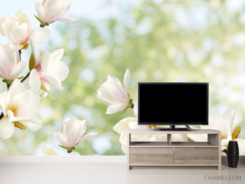 Фотообои Цветы магнолии - 2