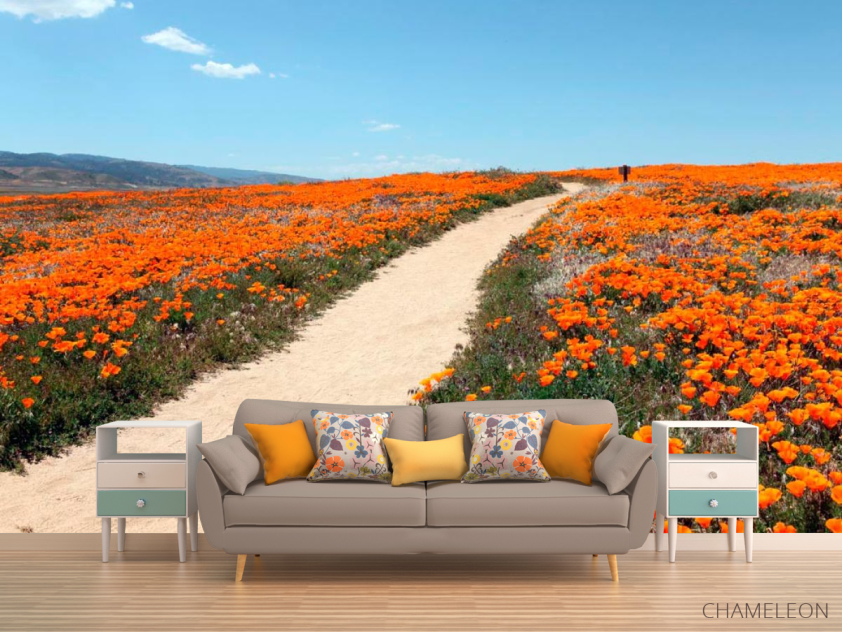 Фотообои Тропинка, мак - 1