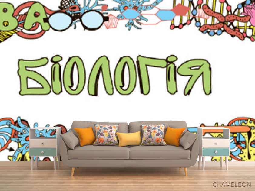 Фотообои Кабинет биологии - 1