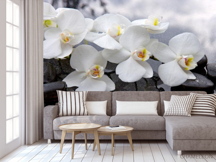 Фотообои белые орхидеи на черных камнях - 3