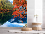 Фотошпалери Відображення, ліс, вода - 2