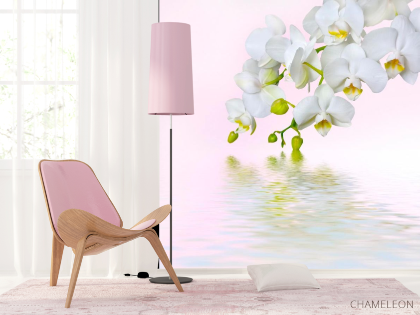 Фотообои Веточка белых цветов - 4