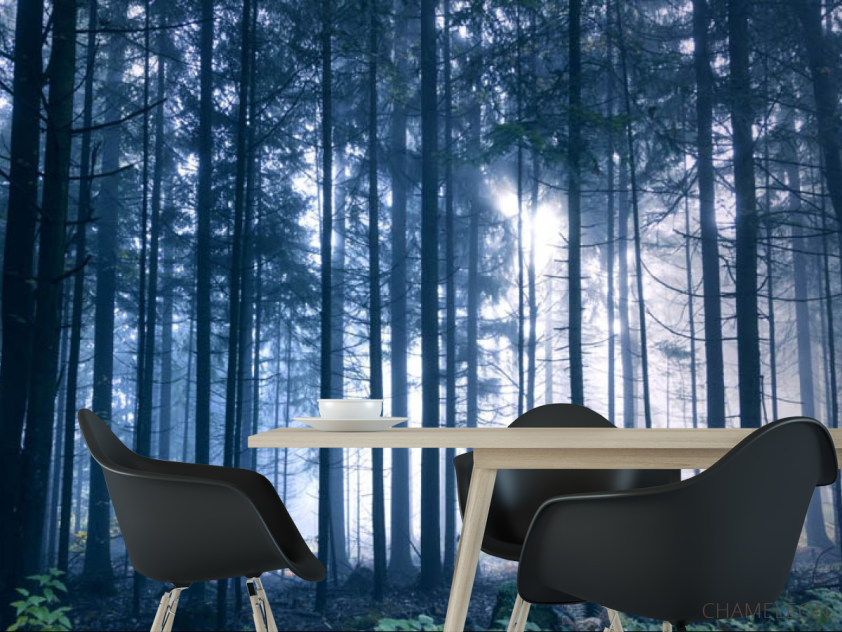 Фотошпалери ліс - 1