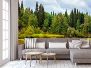 Фотообои Течение, лес - 3