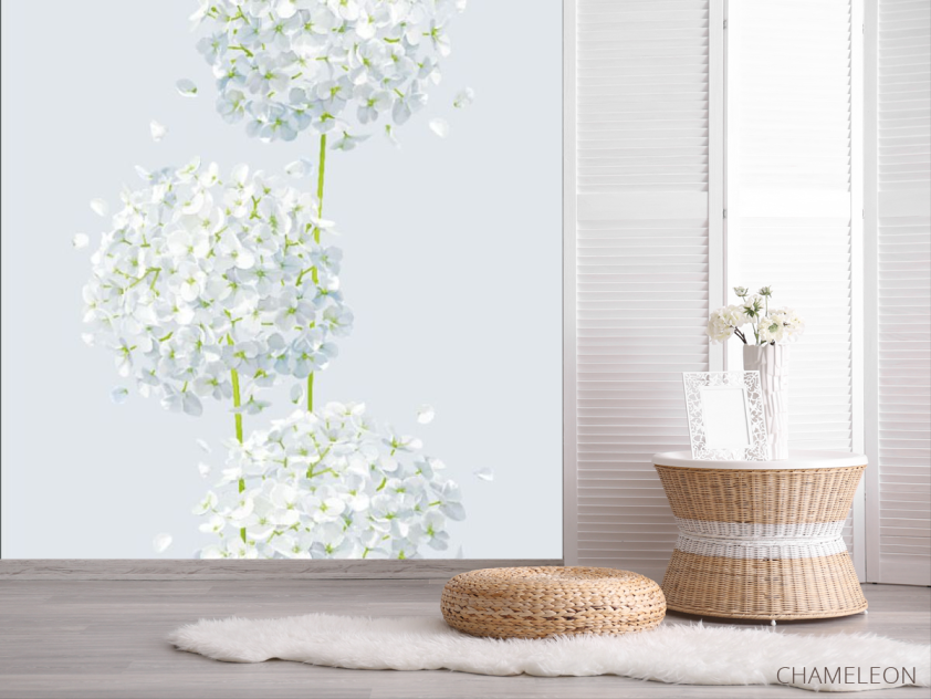 Фотошпалери кульбаби - 2