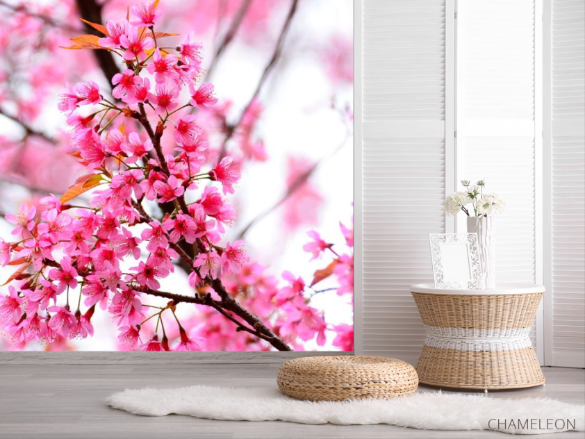 Фотошпалери Квітуче рожеве дерево - 2