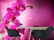 Фотошпалери Малинові орхідеї гілкою - 1