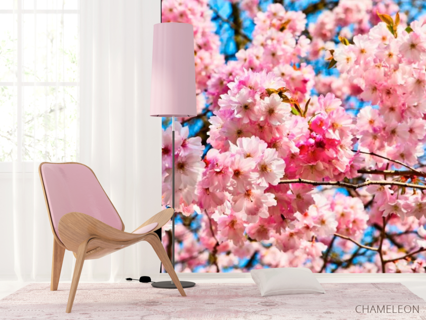 Фотошпалери Цвітіння рожевого дерева - 4