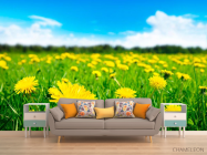 Фотообои Одуванчиковое поле - 1