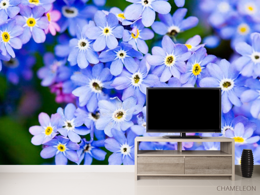 Фотообои Весенние голубые цветы - 2