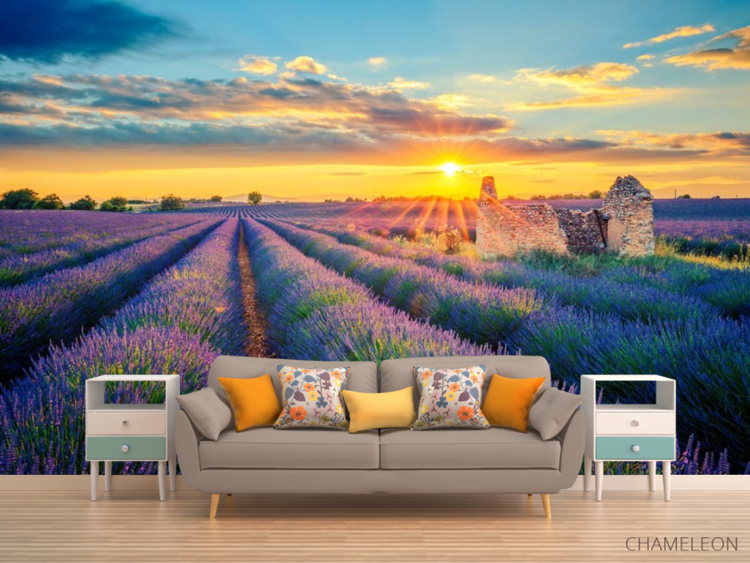 Фотообои разрушеный домик в лавандовом поле - 1