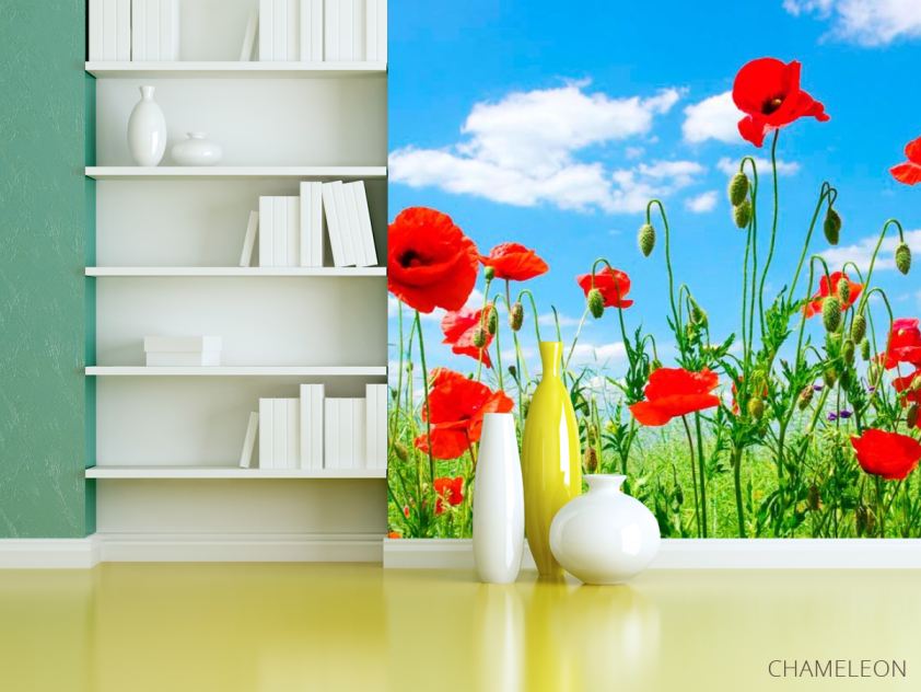 Фотошпалери Маки в степу - 3