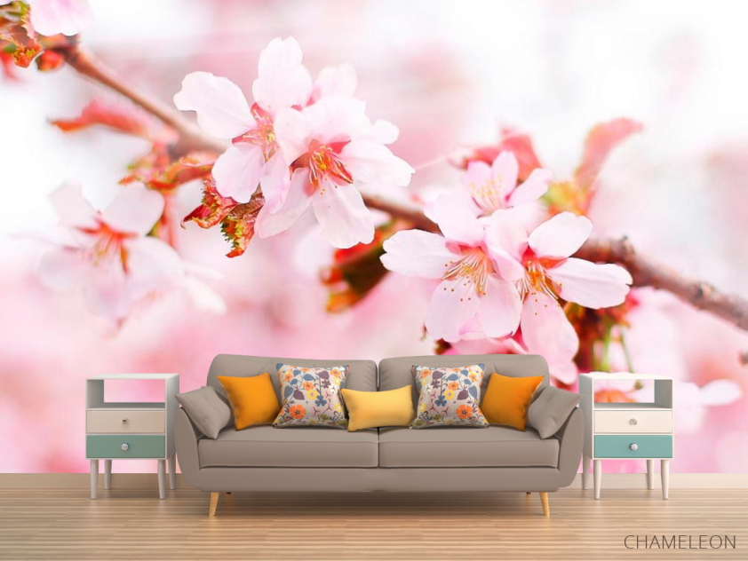 Фотообои Цветущая розовая вишня - 1