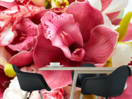 Фотошпалери Орхідеї і білі, бордові - 1