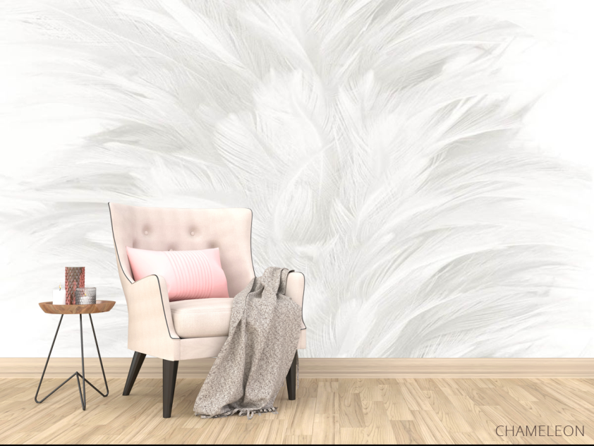 Фотообои Белые перья - 4