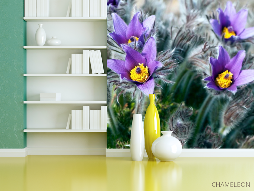 Фотошпалери Фіалки - 3