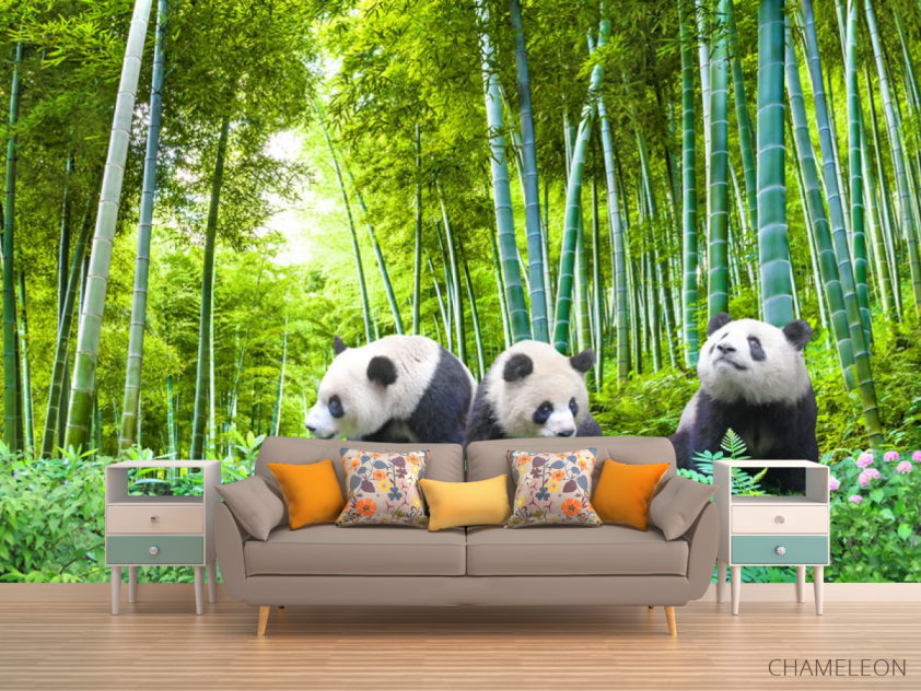 Фотообои Панды в бамбуке - 1