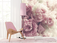 Фотошпалери Рожеві півонії - 4