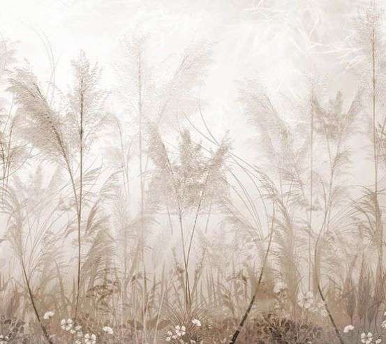 Фотошпалери Сухоцвіти Фотошпалери Сухоцвіти 32350