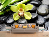 Фотообои Зеленая орхидея, камни - 1