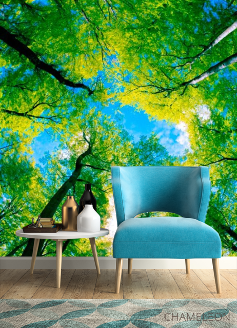 Фотообои Верхушки деревьев - 4