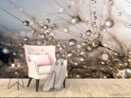 Фотообои Роса - 4