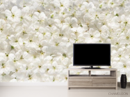 Фотообои белые цветы - 2