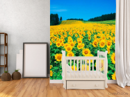 Фотообои Поле подсолнухов - 2
