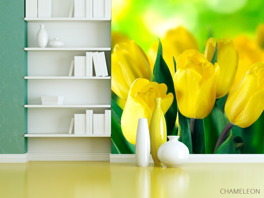 Фотошпалери Яскраво-жовті тюльпани - 3