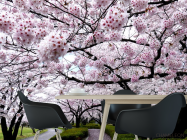 Фотошпалери дерева з білими квіточками - 1