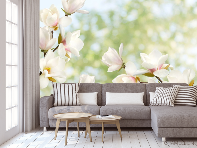 Фотообои Цветы магнолии - 3