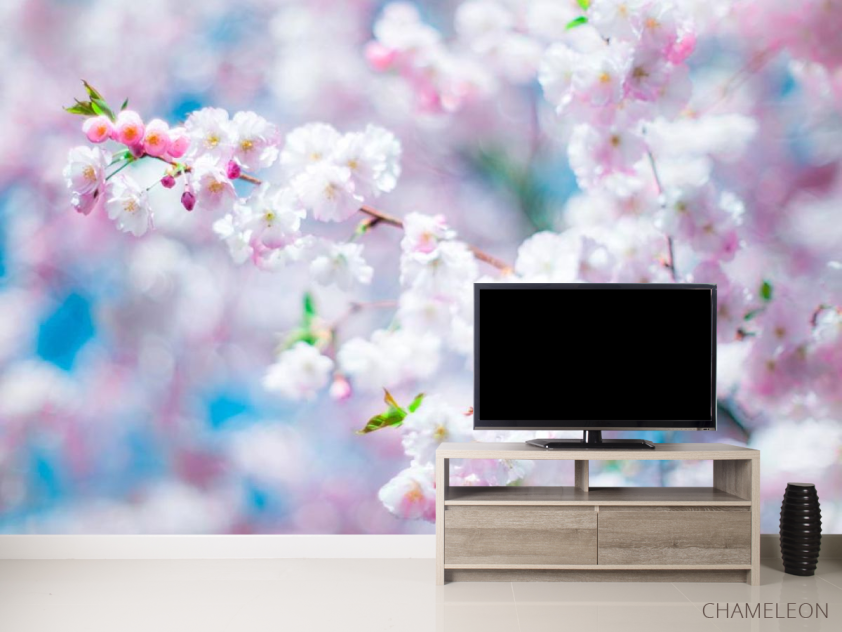 Фотообои Белые пушинки цветов - 2