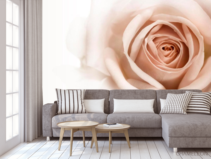 Фотообои Роза кремово-коричневая - 3