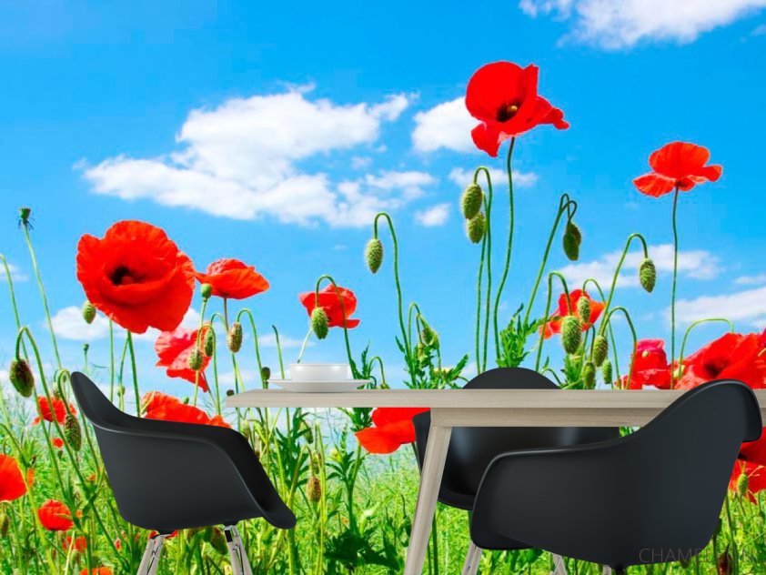 Фотошпалери Маки в степу - 1